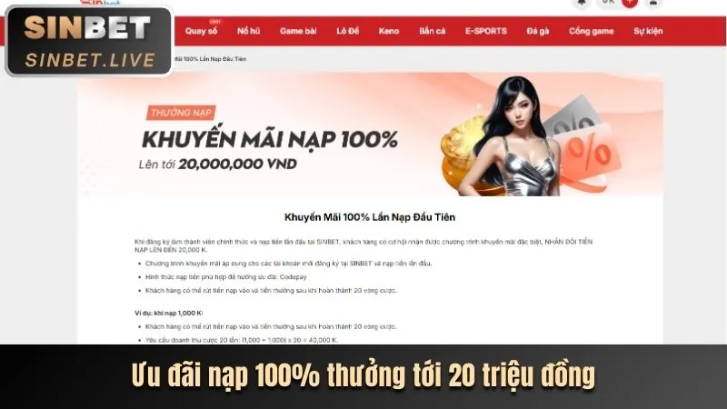 Cấp độ VIP Đồng tại 789bet